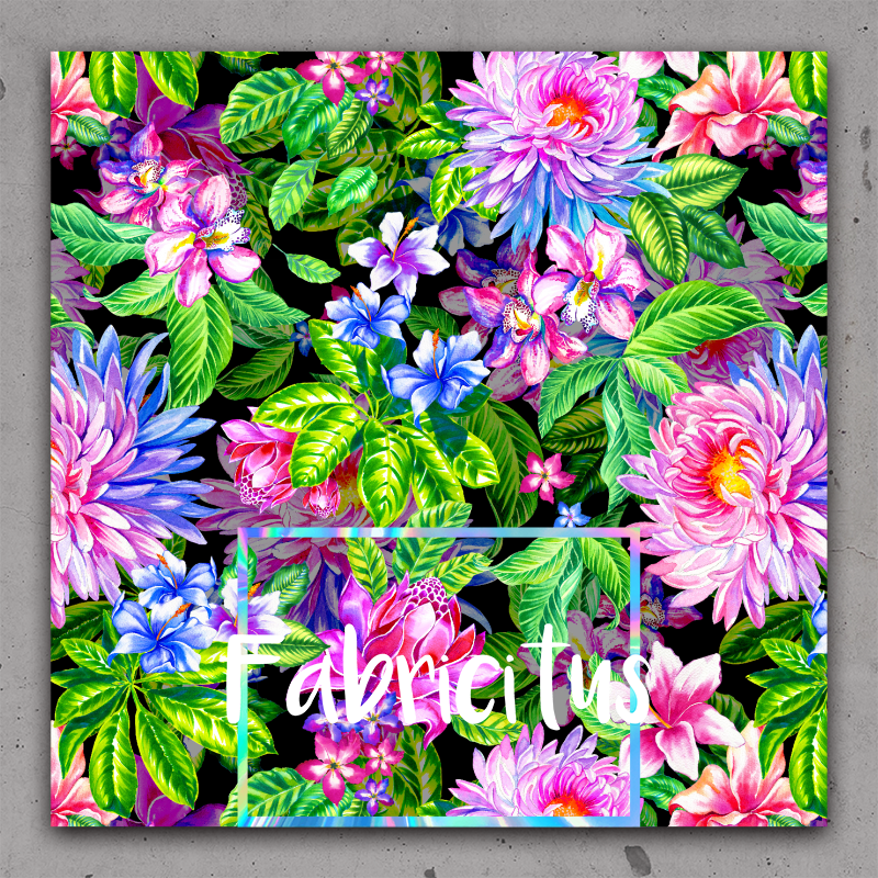 PLF07 - PLANTS & FLOWERS 07