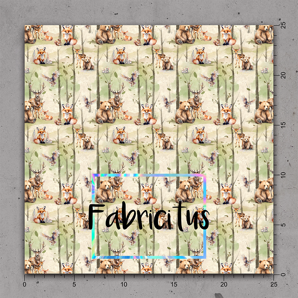 ROUND ONE 2025 - GENERAL DESIGN 15