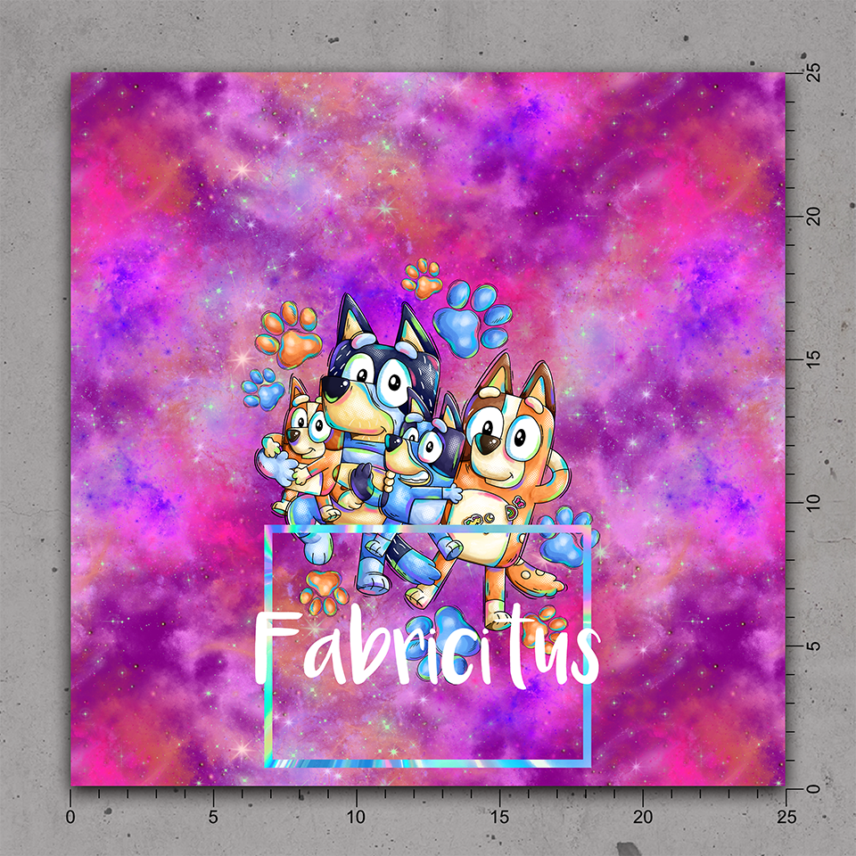 OUPCP07 - PET COLLECTIVE PANEL 07