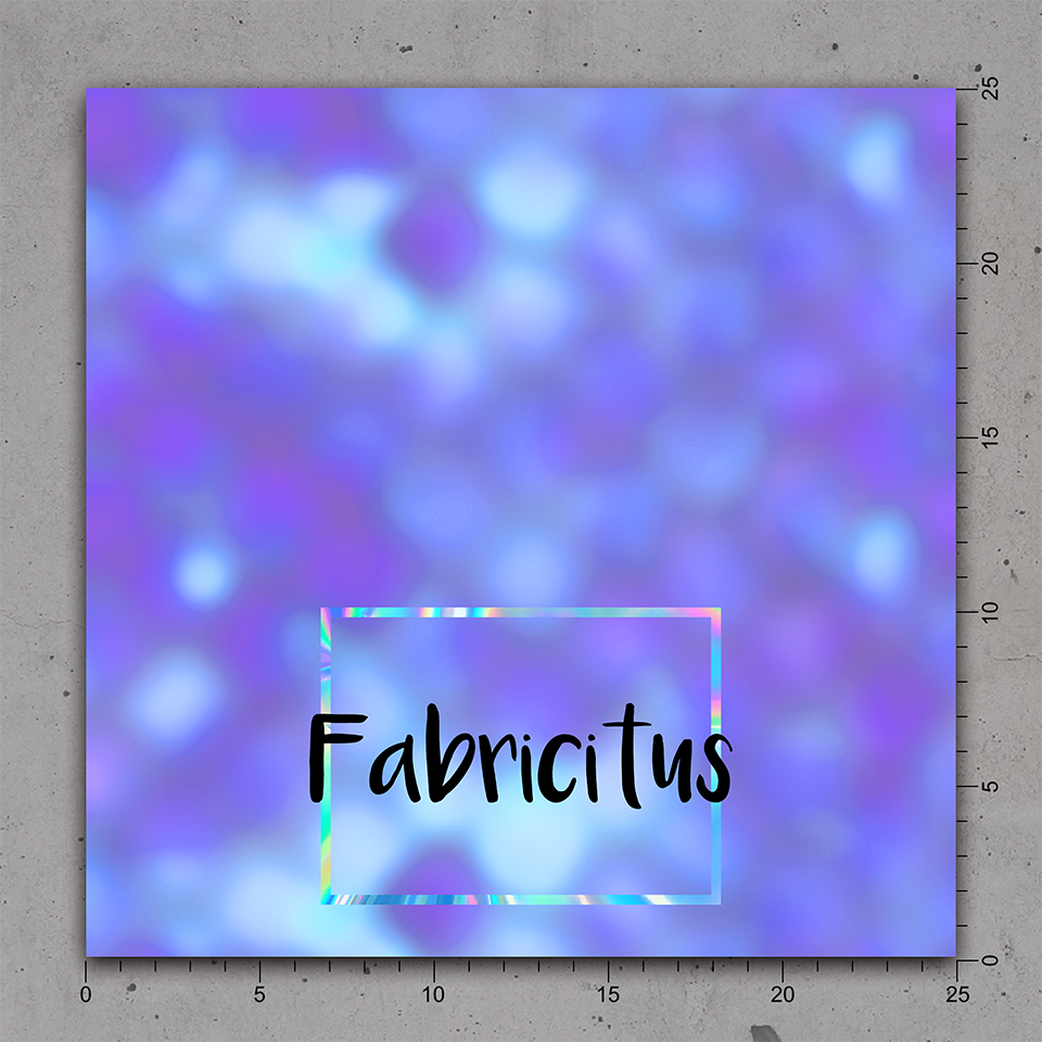 SEIPC23 - ISLAND PRINCESS COORDINATE 23