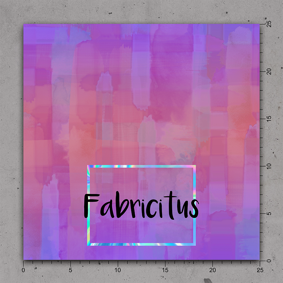 SEIPC25 - ISLAND PRINCESS COORDINATE 25