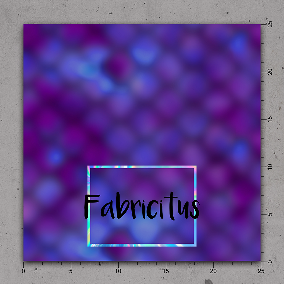 SEIPC26 - ISLAND PRINCESS COORDINATE 26