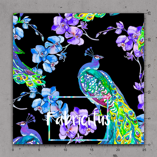 ANI003 - ANIMAL DESIGN 03