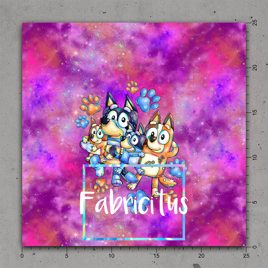 OUPCP07 - PET COLLECTIVE PANEL 07